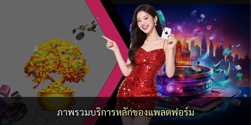 ภาพรวมบริการหลักของแพลตฟอร์ม
