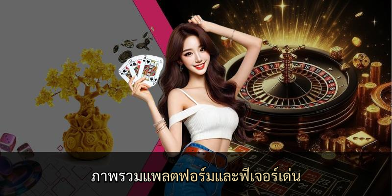 ภาพรวมแพลตฟอร์มและฟีเจอร์เด่น