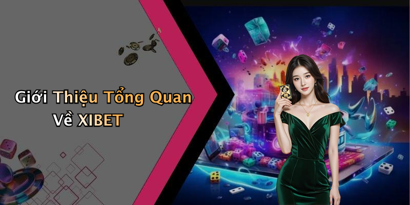 Giới Thiệu Tổng Quan Về XIBET